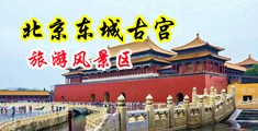 欧美插穴电影中国北京-东城古宫旅游风景区